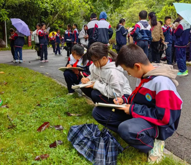 漫画趣味互动等五光十色为校园带来满满的阳光与生机
